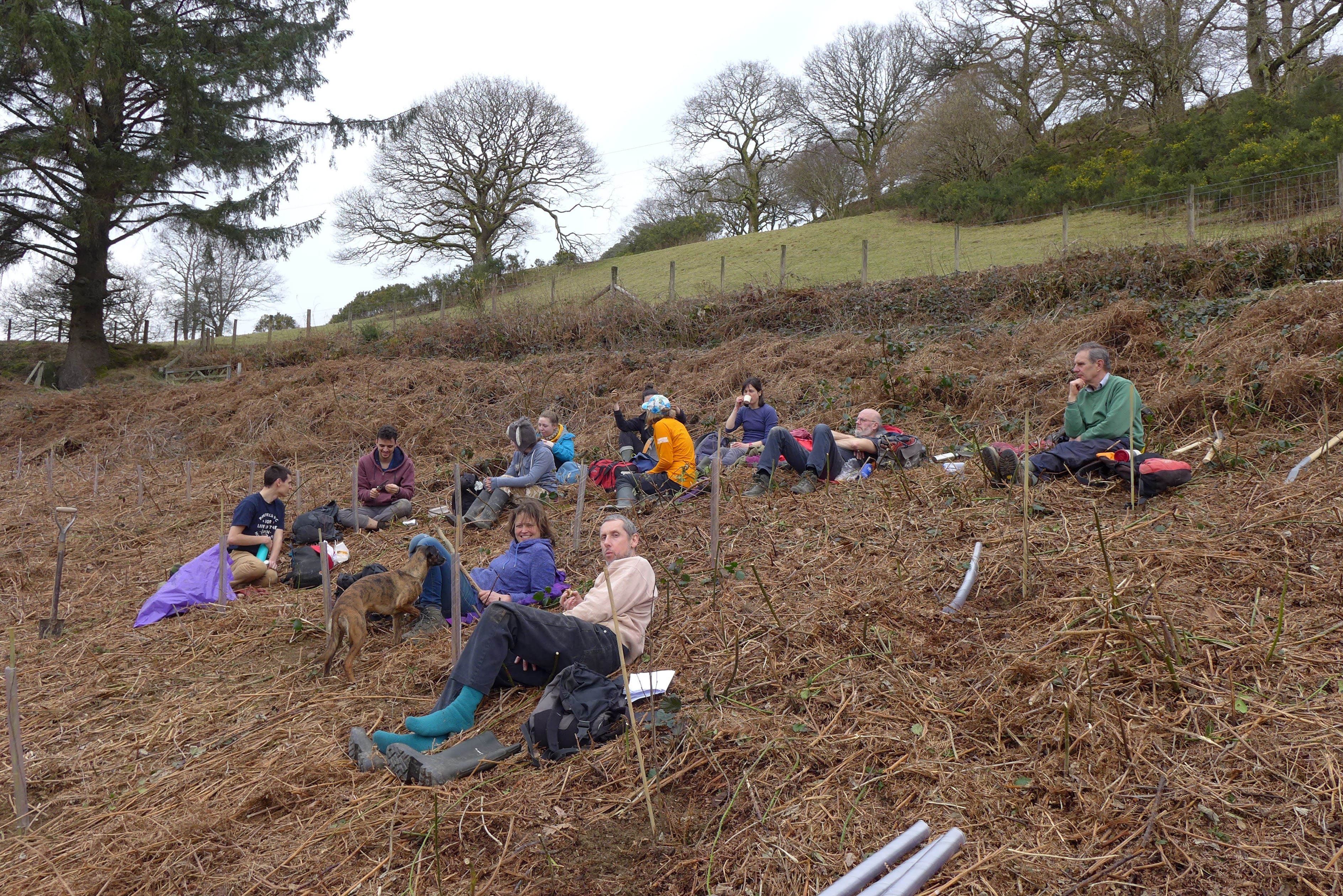 Coetir Anian volunteers lunch break 23.02.19 The volunteers who come to work at Coetir Anian / Cambrian Wildwood are the heart and driving force of the project. A great part of what happens on the land is down to the work of volunteers on the monthly work days. It is also a fundamental way for people to be part of Coetir Anian, and to not only give time and work, but also to influence how the project evolves and to interact directly with the landscape.olunteer work day