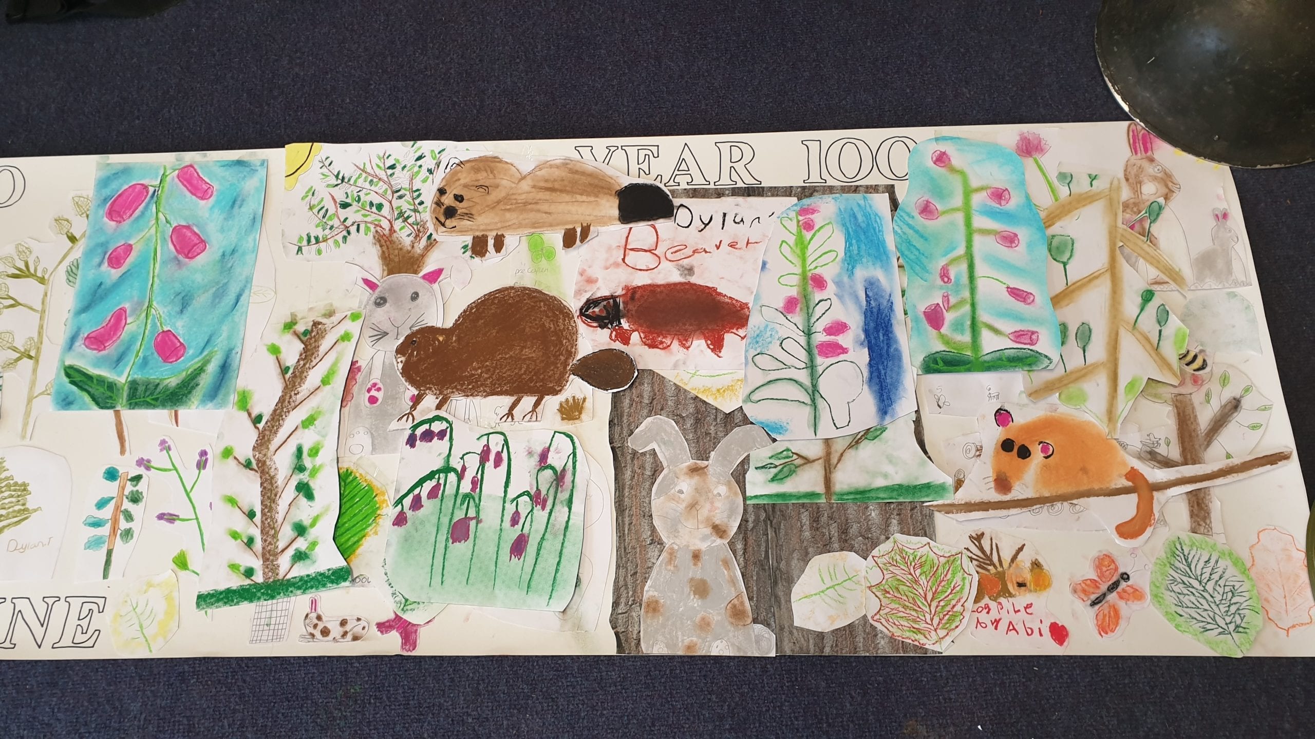 Habitat time line Penrhyncoch Habitat time line Penrhyncoch