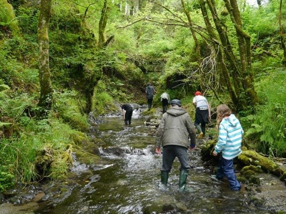 River trekking 2019 S River trekking 2019
