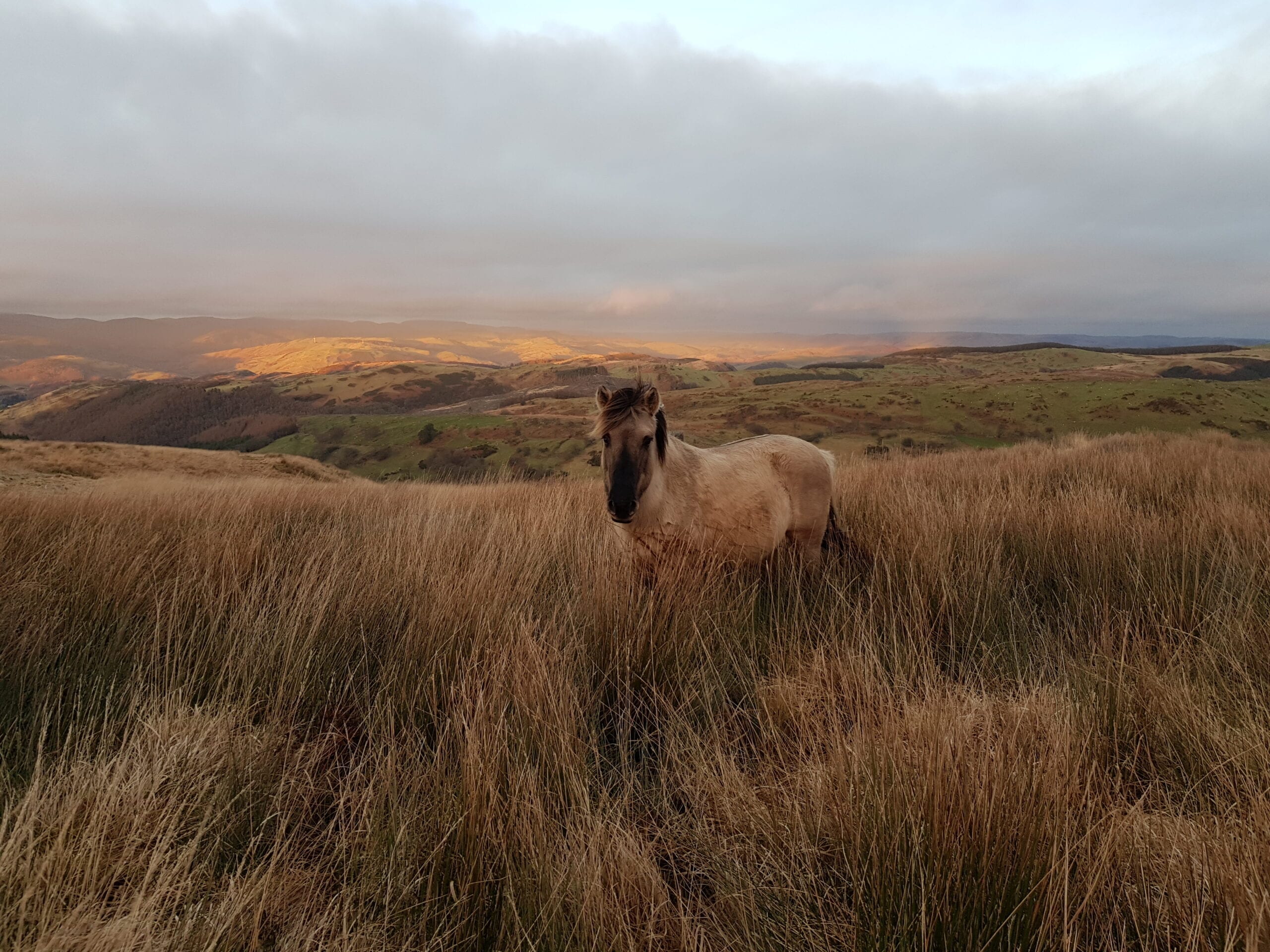 At sunset