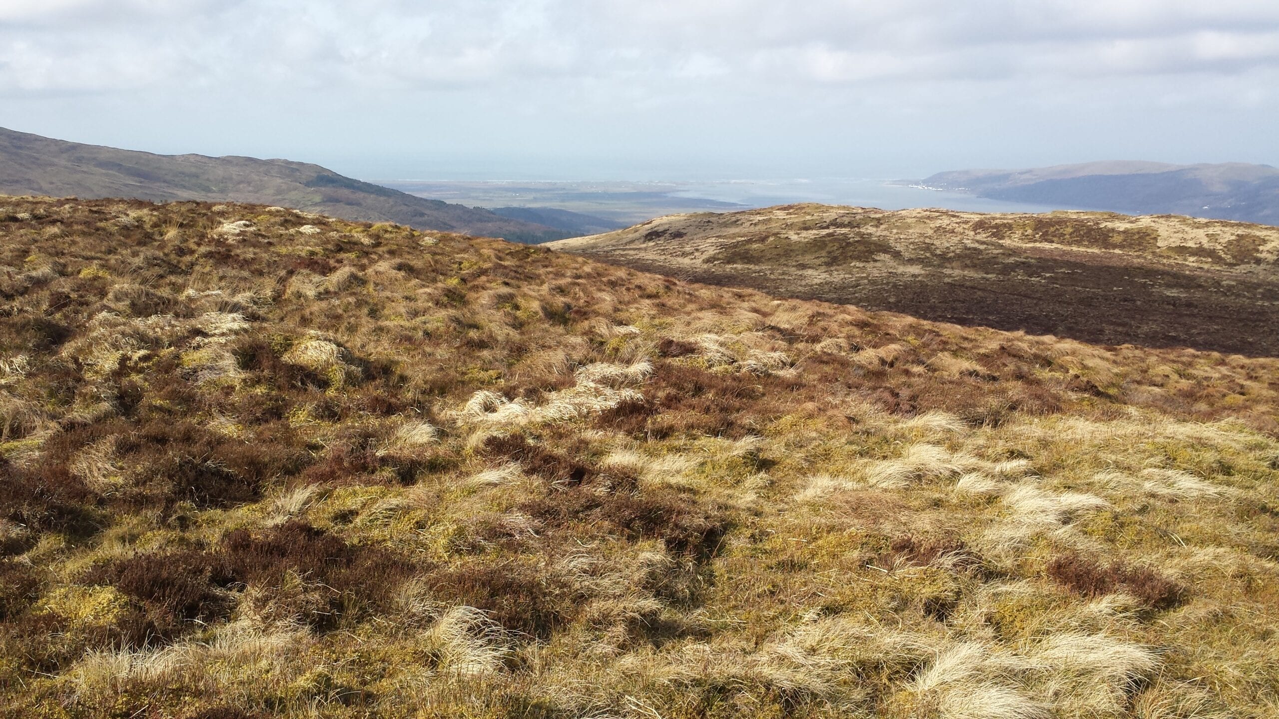 Wet heathland with view of sea