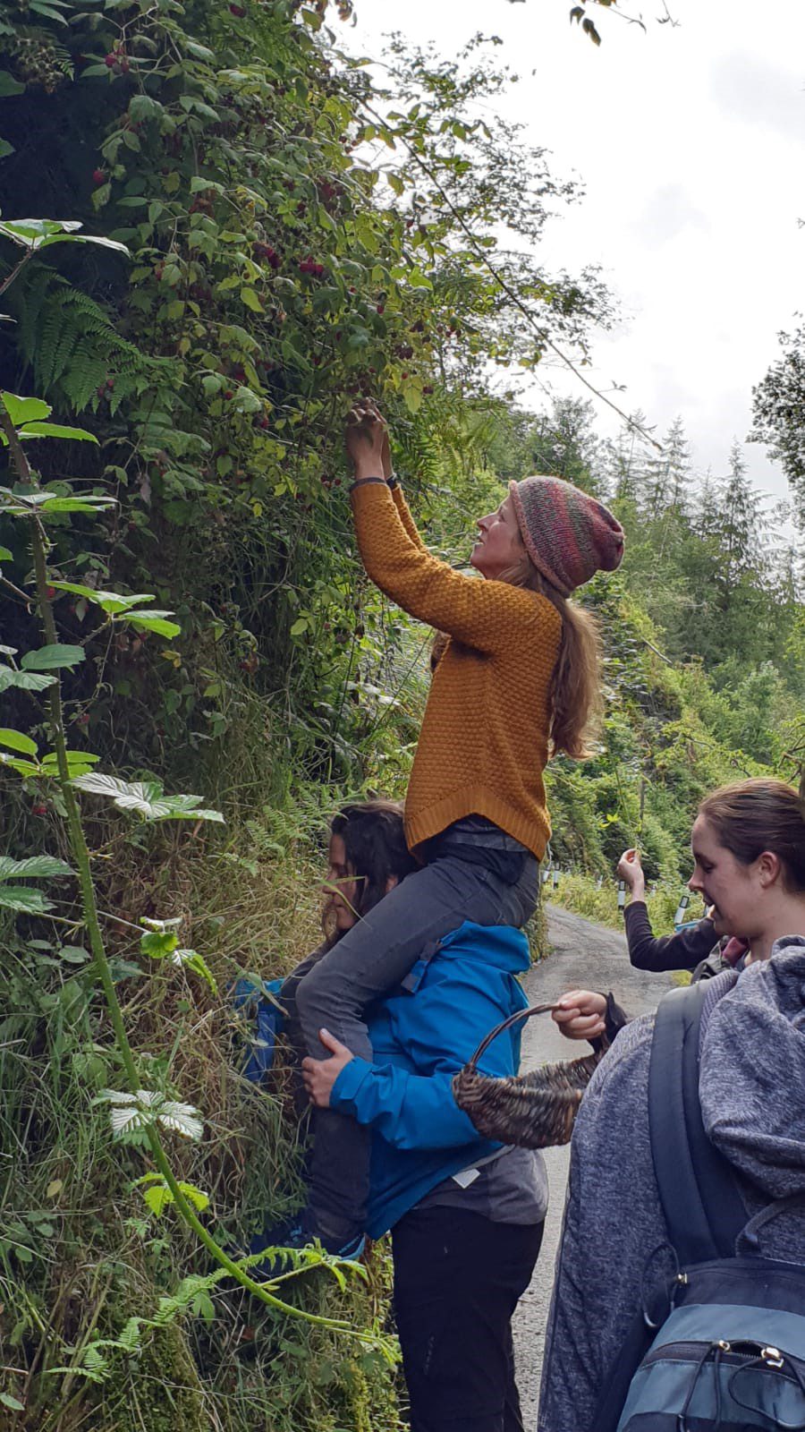 Foraging