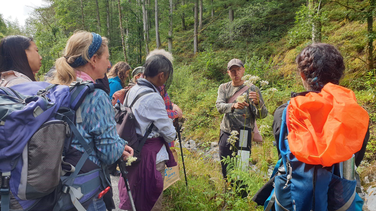 Foraging walk