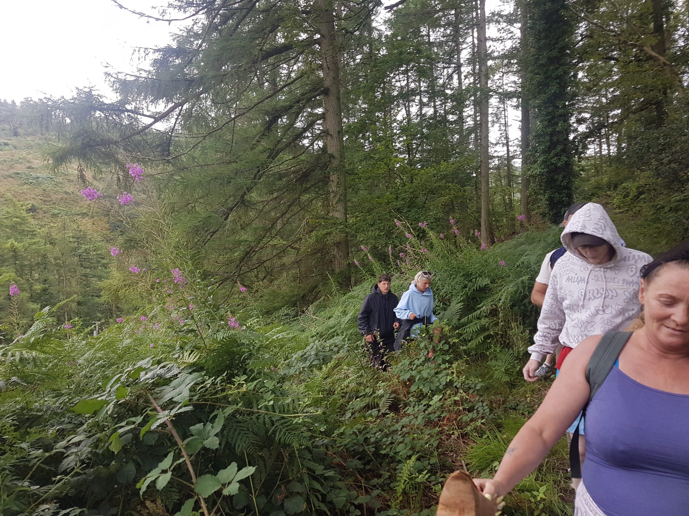 Foraging walk