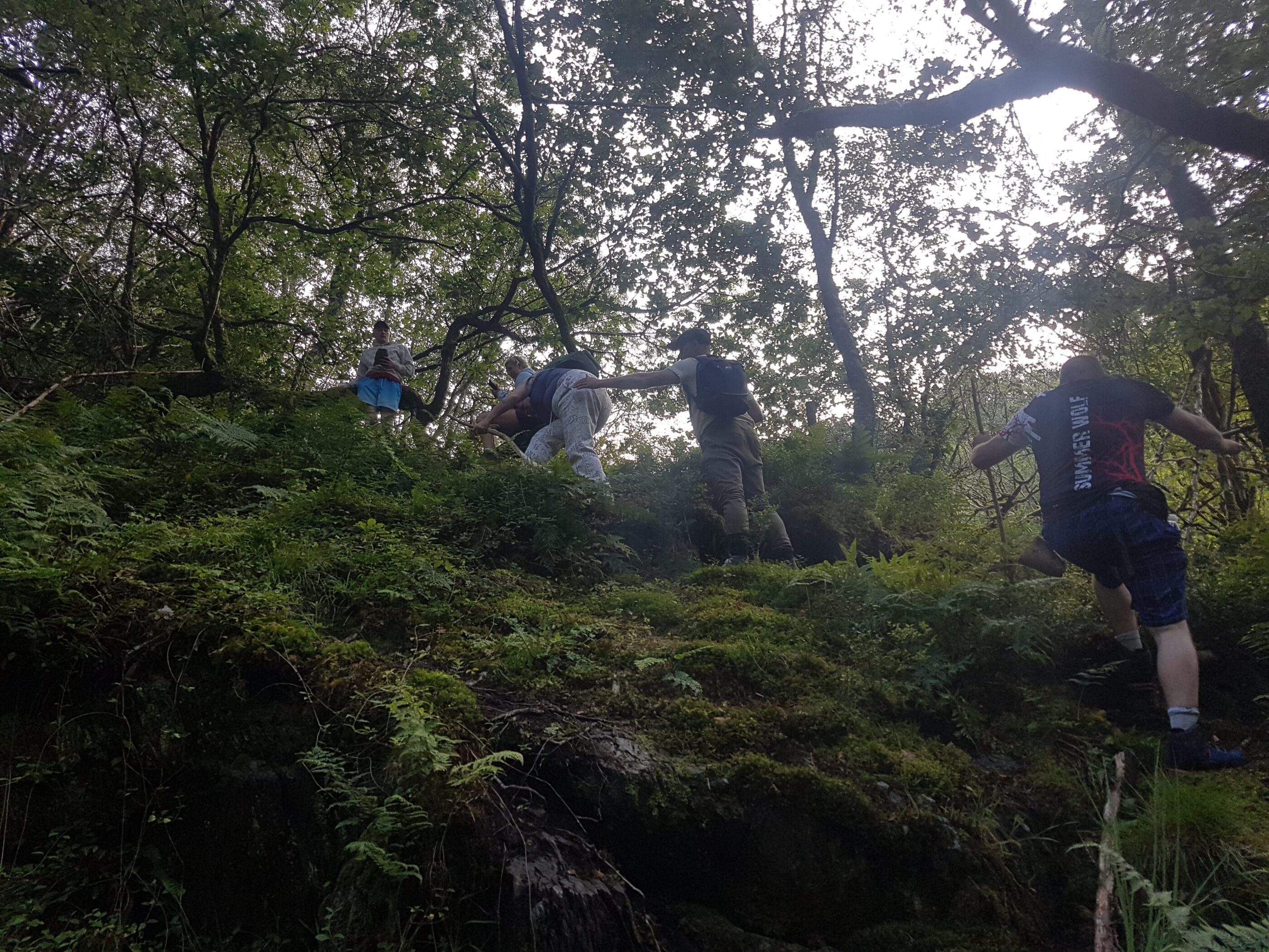 Foraging walk