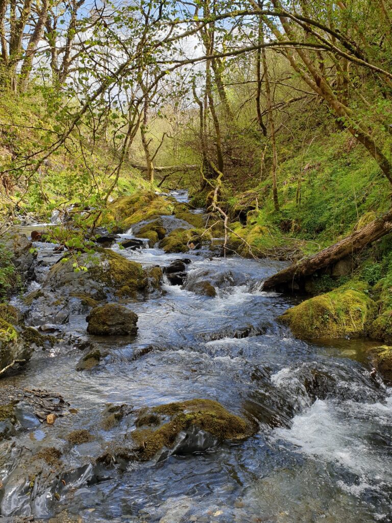 gorge